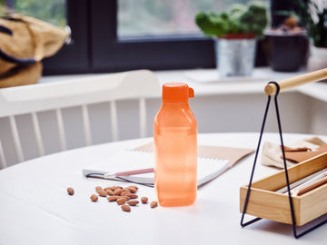 Eco Bottle Sq 500 ml